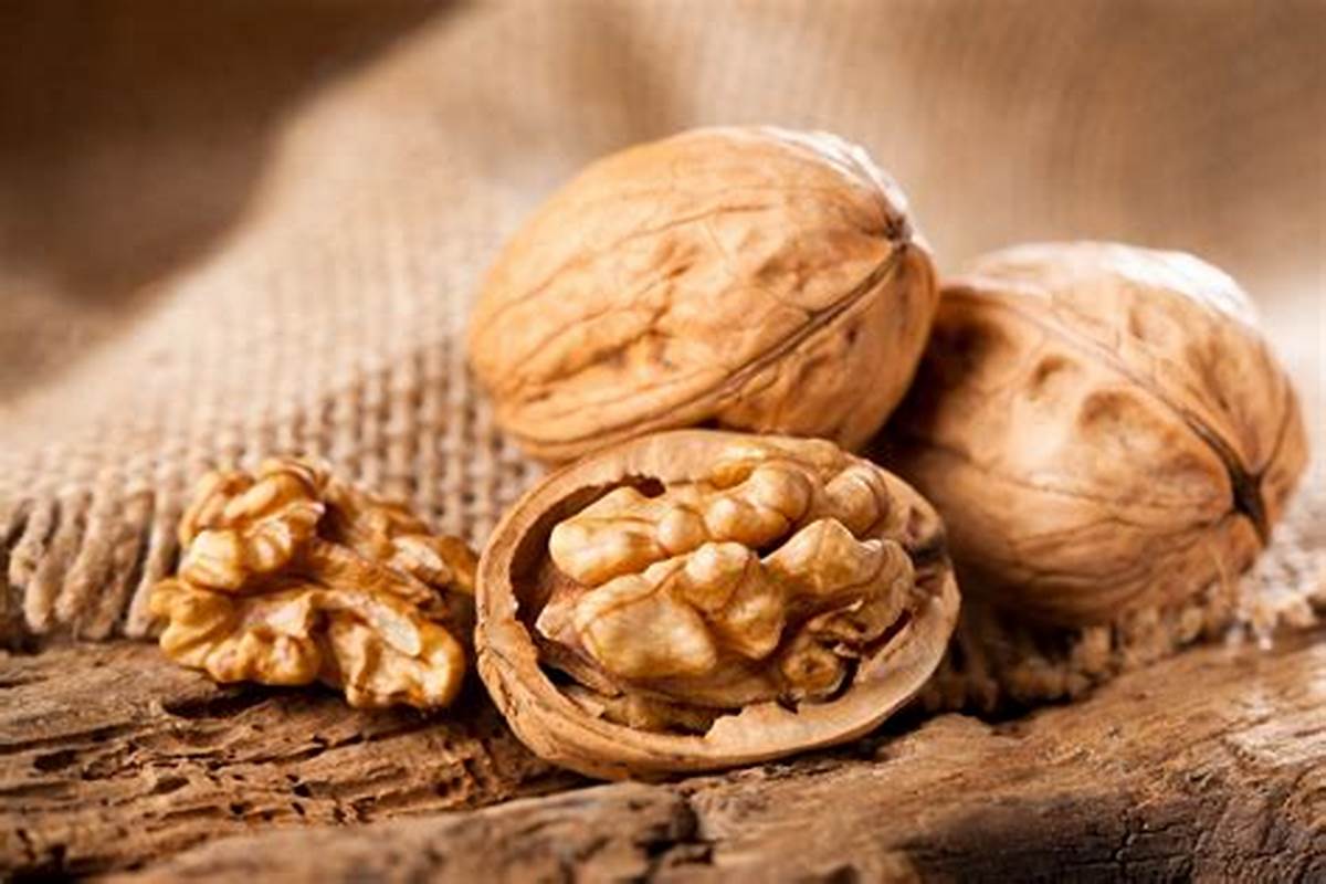 nguồn gốc hạt óc chó
